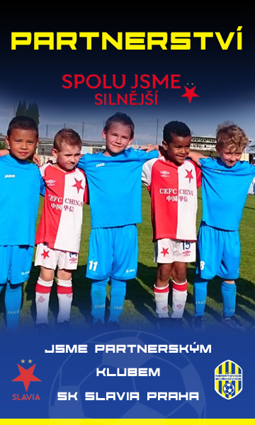 partnerstvi_new.jpg